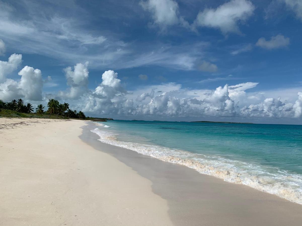 Turtles Nest Bahamas Apartment Джорджтаун Екстериор снимка
