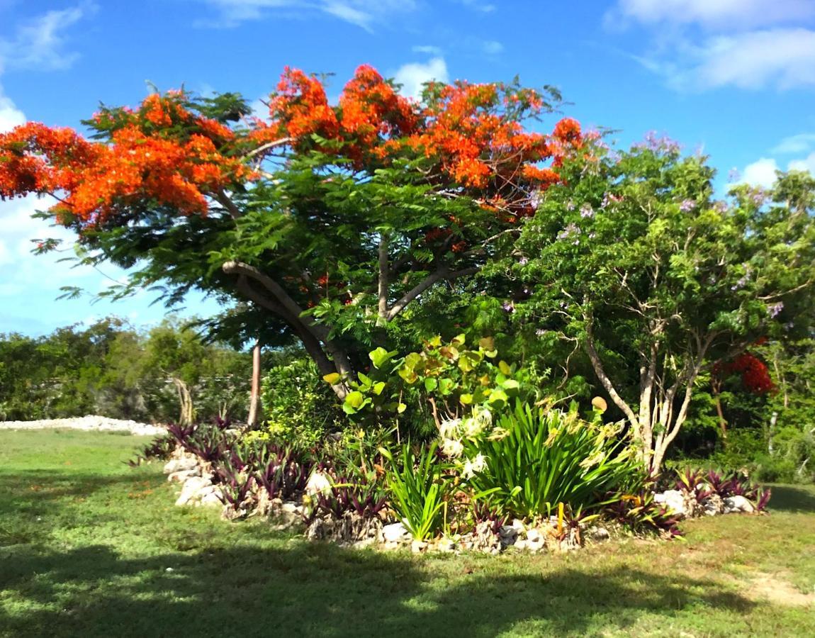 Turtles Nest Bahamas Apartment Джорджтаун Екстериор снимка